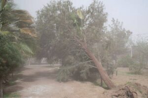 پیشبینی باران و باد شدید در ۱۳ ولایت افغانستان