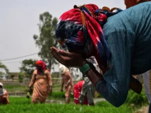 گرمای هوا در هند جان ۱۰۰ نفر را گرفت