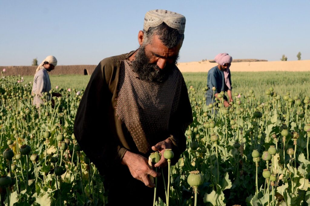 افزایش ۲۵ درصدی کشف مواد مخدر افغانستان از سوی تاجیکستان