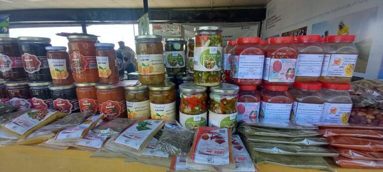 آخرین خبرها