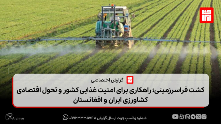 کشت فراسرزمینی؛ راهکاری برای امنیت غذایی کشور و تحول اقتصادی در کشاورزی ایران و افغانستان