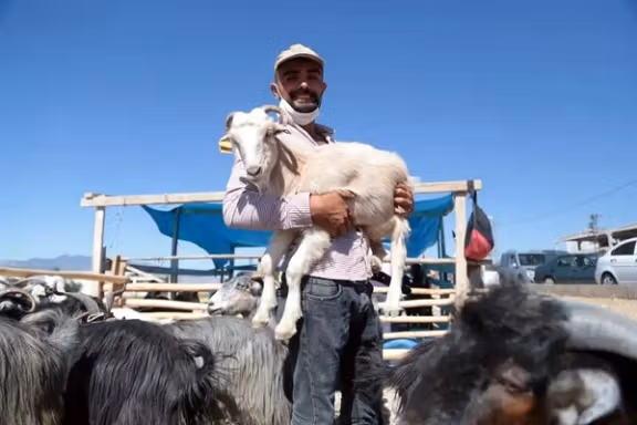 بیش از ۱۴هزار نفر در روز اول عید قربان در ترکیه زخمی شدند