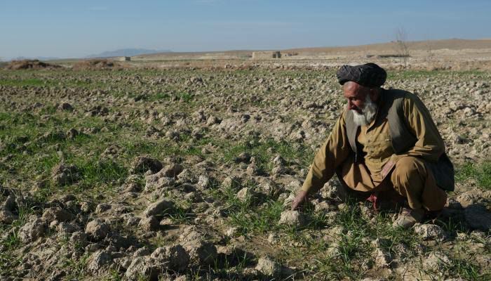 هشدار یک نهاد آلمانی درباره خطرات تغییرات اقلیمی برای کشاورزان افغانی