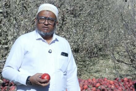 صادرات ۱۲ کانتینر سیب خاک‌جبار کابل به هند، گامی تازه در بازار هدف افغانستان