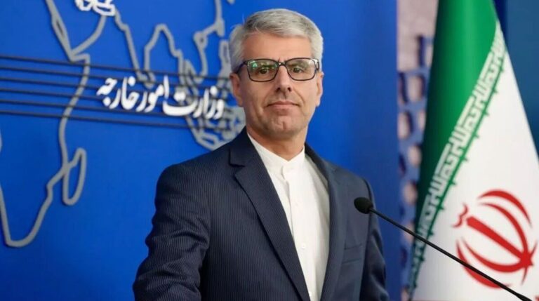 سخنگوی وزارت خارجه: جامعه جهانی مکلف به حمایت عملی از مقاومت مشروع فلسطین است