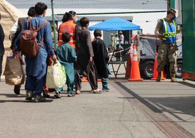 مهاجران افغان قربانی تصمیمات ترامپ؛ ترس و نفرت علیه پناهجویان گسترش یافته است 1 مهاجران افغان قربانی تصمیمات ترامپ؛ ترس و نفرت علیه پناهجویان گسترش یافته است