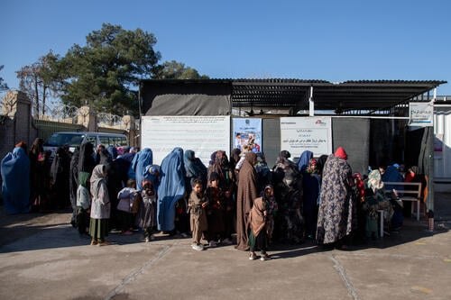 بحران هرات؛ یک کارمند سازمان پزشکان بدون مرز بازداشت شد