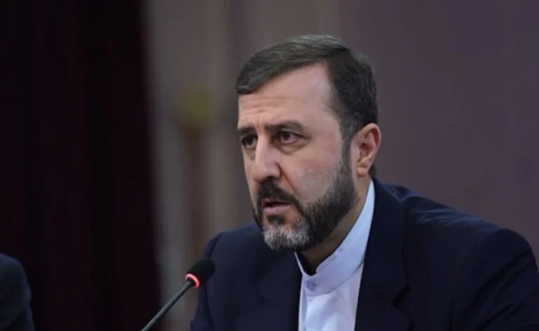 دستاورد دیپلماتیک تهران در نشست هند؛ حمایت صریح سران بریکس از عضویت ایران در سازمان تجارت جهانی