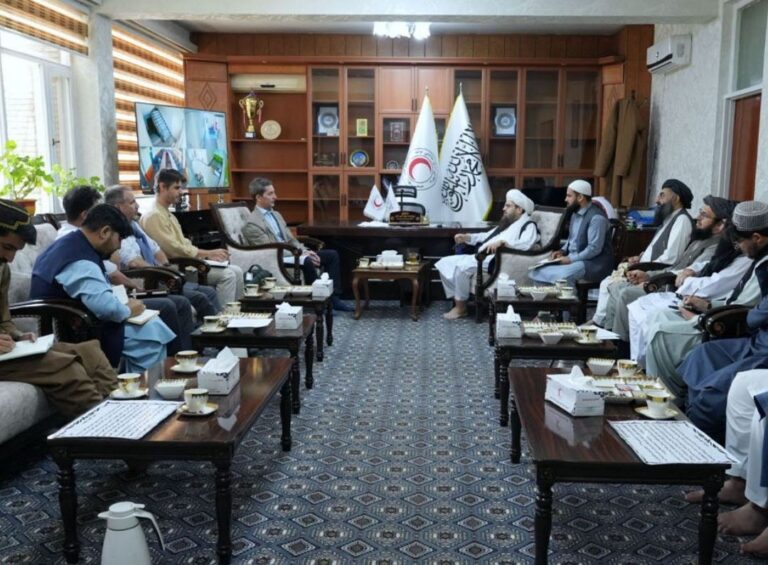 دیدار دلاور با نمایندگان صلیب سرخ؛ پروژه خودکفایی مهاجران در راه است