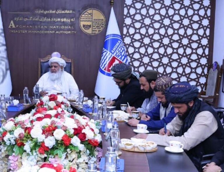 دیدار ترابی با رئیس سازمان مهاجرت؛ تاکید بر جدایی کمک‌های بشردوستانه از سیاست